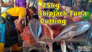 Big Skipjack Tuna Cutting Skill  Precision Techniques  Excellence Cutting Giant Tuna Fish Culinary [upl. by Ahseikan740]