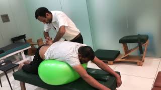 Mobilisation of lumbar Spine Disc protrusion best non surgical treatment of back pain neck pain [upl. by Edd59]