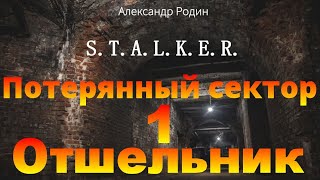 1 Отшельник Потерянный сектор STALKER аудиокнига Александра Родина [upl. by Noreen]