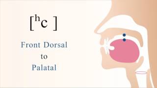 ʰc  unvoiced front dorsal palatal preaspirated stop [upl. by Nonez]