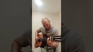 Vikings theme on guitar  2 [upl. by Anilag655]