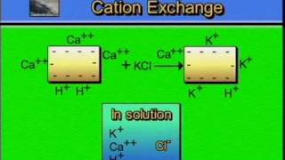 AGPR201 10 03 Cation Exchange Graphic [upl. by Hulbard464]