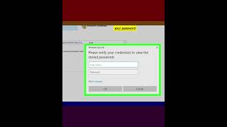 How to View Passwords in Credential Manager on Windows [upl. by Fonsie]