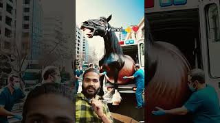 Cartoon।horse doctor motivation neet animals music ringtone instrumental love ringtones [upl. by Ahsii]