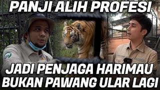 GAK MAU KALAH DARI ALSHAD PANJI UDAH GAK TAKUT ALIH PROFESI JADI KEEPER HARIMAU SIBERIA [upl. by Justin]