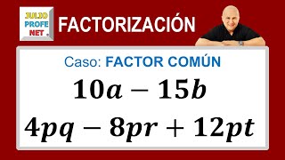 Caso 1 de factorización factor común [upl. by Hopfinger]