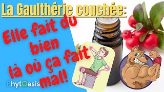 Comment Utiliser lHuile Essentielle de Gaulthérie Couchée Idéale contre les douleurs articulaires [upl. by Derina398]