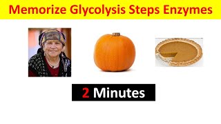 How to Remember Glycolysis Steps and Enzymes in 2 Minutes  Easy Mnemonics amp Tricks [upl. by Ilime]