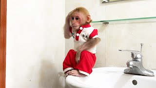 Super Monkey Bibi reacts when the house loses water [upl. by Areemas146]