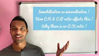 Mineralization vs immobilization mineralization CNratio nutrienttransformation [upl. by Diantha]