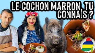 RESTAURANT Le CHAMAREL À L’ÎLE MAURICE  RECETTE MAURICIENNE DE SALMI COCHON MARRON amp REVIEW 🇲🇺 [upl. by Scarlet]