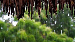 12 Hours Relaxing Sleep Music 🎵 Meditation Music Stress Relief Music Study Music • Sounds of Rain [upl. by Rehptsirhc118]