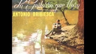 DEJAME LLORAR ANTONIO BRIBIESCA Y SU GUITARRA [upl. by Elleinnod]