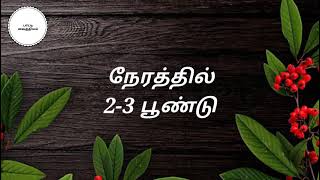 காச நோய் குணமாக பாட்டி வைத்தியம்TB treatment in tamilKasa noi tamil maruthuvampaatti vaithiyam [upl. by Utta]