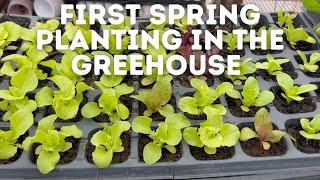 First Spring Planting in the Greenhouse [upl. by Glanville]