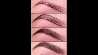 ❅ Les secrets des sourcils parfaits  NovaDickson [upl. by Isyak]