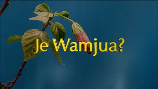 Divine Vocals Ministry  Je Wamjua Official Lyric Video [upl. by Ellord]