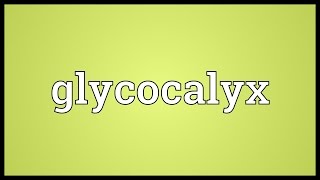 Glycocalyx Meaning [upl. by Ahseekat]