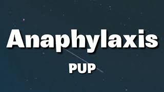 PUP  Anaphylaxis Lyrics [upl. by Godspeed]