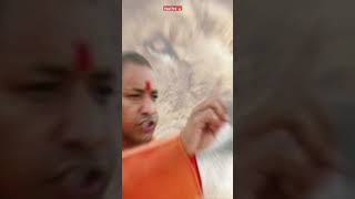 Yogi Adityanath ji attitude status 🔥 shorts [upl. by Eiramanel]