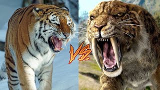 Tigre Dientes de Sable vs Tigre Siberiano ¿Cual seria el Ganador en una Batalla [upl. by Clayborne409]