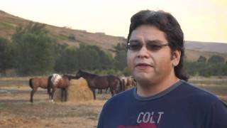 NEZ PERCES HORSES [upl. by Mathias]