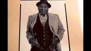 Muddy Waters  Mannish Boy  1977 Hard Again version [upl. by Ardnod]