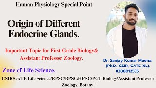 Origin of Different Endocrine lands PGT BIOLOGY CSIRGATERPSCMPPSCHPSCBPSC  ZOOLOGYNEET [upl. by Hackett]