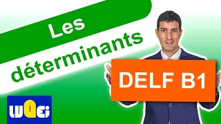 Les déterminants du groupe nominal  Grammaire au delf B1 [upl. by Sido]