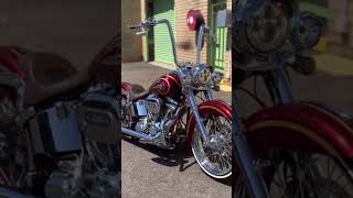 HarleyDavidson FLSTNSE Softail DELUXE CVO Custom [upl. by Nauquf917]