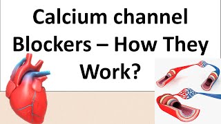 Norvasc Amlodipine  A Calcium channel blockers  Pharmacology amp Mechanism of action [upl. by Peisch]