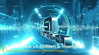 Age of Love vs Holden amp Thompson  The Age of Nothing ReElements Rabbit Hole Mashup [upl. by Anaicilef824]