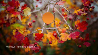 Coherence cardiaque automne [upl. by Pauline]