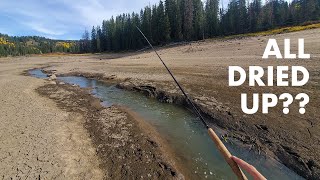 Fishing a Weird But Productive Roadside Creek Tenkara Fly Fishing [upl. by Burrill571]