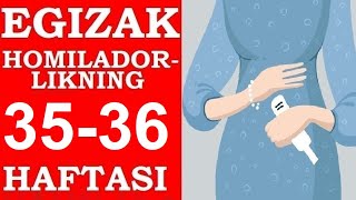 EGIZAK HOMILADORLIGINING 3536HAFTALARI  ЭГИЗАК ХОМИЛАДОРЛИГИНИНГ 3536ХАФТАЛАРИ [upl. by Lillith272]