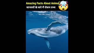 Crazy Facts About Animals 🐸🦘  Amazing Facts  Random Facts  Mind Blowing Facts in Hindi Shorts [upl. by Sidon]