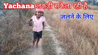 Yachana लकड़ी सकेला रही हैं 🔥 Vlogs [upl. by Ramirol292]