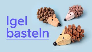 Süße Igel aus Tannenzapfen basteln [upl. by Annyrb]