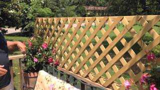 Build A Quick And Easy Trellis For Your Deck [upl. by Euginimod196]