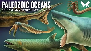 Aquatic Animals of the Paleozoic Era Size comparison and data Paleoart [upl. by Areivax]