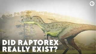 Did Raptorex Really Exist [upl. by Anividul]