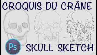 DIGITAL PAINTING  CROQUIS DU CRÂNE SKULL SKETCH  PHOTOSHOP [upl. by Henriha]