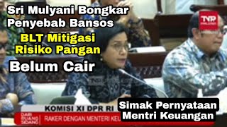 Sri Mulyani Bongkar Penyebab Bansos BLT Mitigasi Risiko Pangan Belum Cair  update blt mitigasi 2024 [upl. by Elsy]