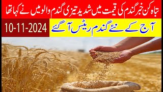 Good news today wheat rate  latest wheat rateprice punjab pakistan wheat price today [upl. by Ilysa176]