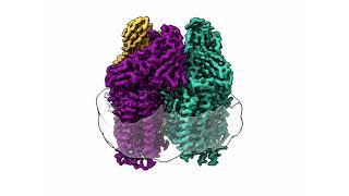 Methaneeating bacteria convert greenhouse gas to fuel [upl. by Capello]