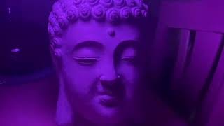 Buddha woods asmr 1 hour of buddhas deep relaxation humming to cure sickness asmr [upl. by Auberon]