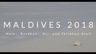 Scuba Diving Maldives 2018  Liveaboard on Hariyana One  Tauchsafari Malediven 2018 [upl. by Pacorro]