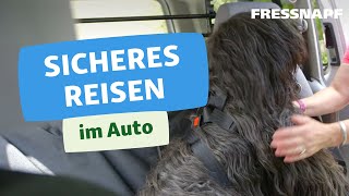 So fahren Hunde sicher im Auto mit [upl. by Rosaleen]