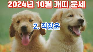 2024년10월 개띠 운세Dog Horoscope for October 2024띠별운세 지식 동물 사주 이슈 사람 운세 소식 좋은글 운을 [upl. by Mota]