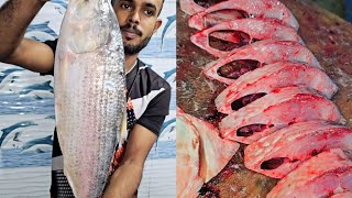 Hilsa 3kg cutting skills sagar fish hoodi Bangalore belathur Kadugodi fish shop [upl. by Neesay159]